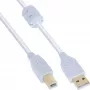 Cable InLine USB 2.0 Type-A macho / B macho, dorado, con ferrita, blanco, 3 m