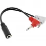 Cable adaptador para auriculares InLine Audio, 2 conectores macho de 3,5 mm a conector hembra de 3,5 mm de 3 polos, 0,15 m