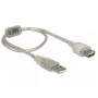 Cable USB DeLOCK 82244 USB 2.0 0,3 m Transparente