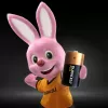 Pila de un solo uso Duracell Plus C alcalina