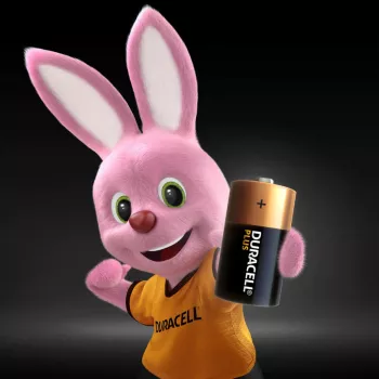 Pila de un solo uso Duracell Plus C alcalina
