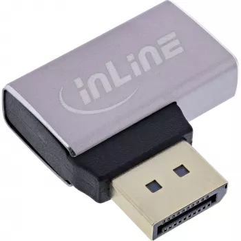 InLine 17291E cable cambiador de género DisplayPort gris, negro