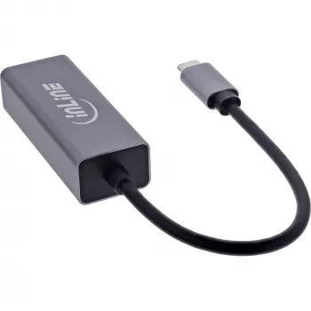 InLine 33380Q adaptador RJ-45 USB Type-C macho 1 Gbit/s gris
