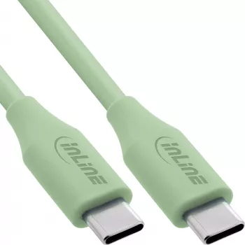 Cable USB InLine 35895G USB 2.0 0,5 m USB-C verde