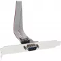 InLine Tapa de ranura serie, conector macho de 9 pines a conector interno de 10 pines 1:1, 0,25 m