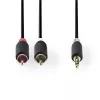 Cable de audio Nedis CABW22200AT10 1 m 3,5 mm 2xRCA Antracita