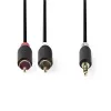 Cable de audio Nedis CABW22200AT20 2 m 3,5 mm 2 x RCA Antracita