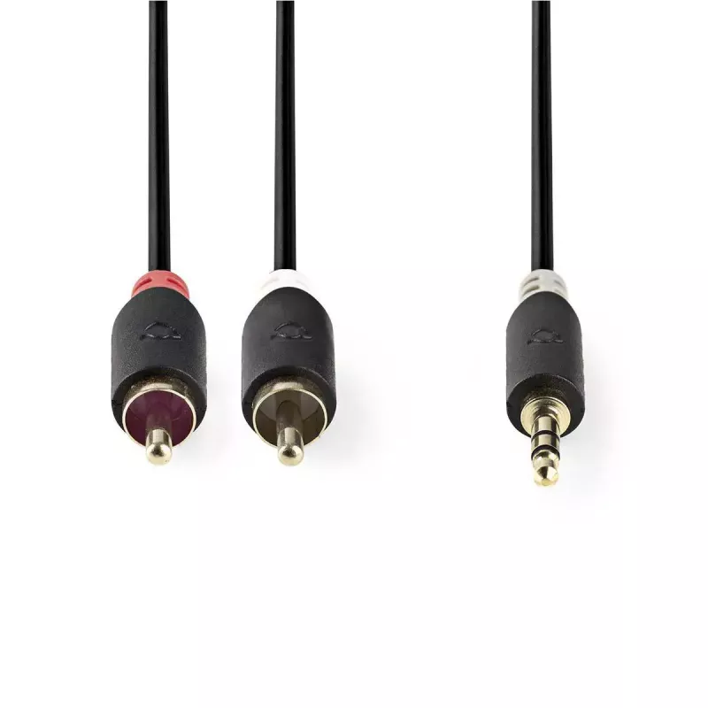 Cable de audio Nedis CABW22200AT20 2 m 3,5 mm 2 x RCA Antracita