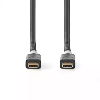 Cable USB Nedis CCBW64020AT20 USB4 Gen 2x2 2 m USB C Negro Plata