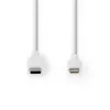 Cable Lightning Nedis CCGW39650WT10 1 m blanco USB C