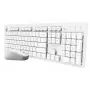 Trust Ody II teclado ratón incluido hogar/oficina RF inalámbrico alemán blanco