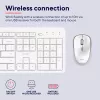 Trust Ody II teclado ratón incluido hogar/oficina RF inalámbrico alemán blanco