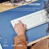 Trust Ody II teclado ratón incluido hogar/oficina RF inalámbrico alemán blanco