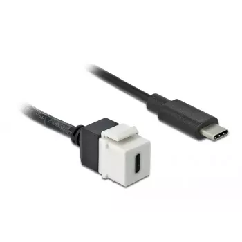 Módulo Keystone DeLOCK 86399 Plano Negro Blanco USB C