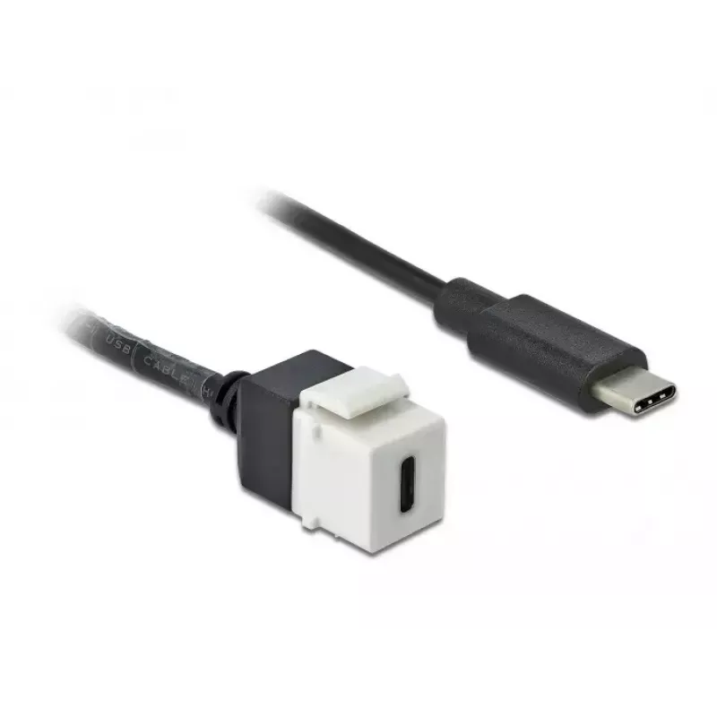 Módulo Keystone DeLOCK 86399 Plano Negro Blanco USB C