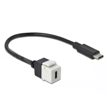 Módulo Keystone DeLOCK 86399 Plano Negro Blanco USB C