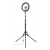Anillo de luz Hama SpotLight Steady 120 III 160 LED 1020 lm 3000 K