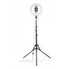 Anillo de luz Hama SpotLight Steady 120 III 160 LED 1020 lm 3000 K