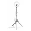Anillo de luz Hama SpotLight Steady 120 III 160 LED 1020 lm 3000 K