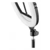 Anillo de luz Hama SpotLight Steady 120 III 160 LED 1020 lm 3000 K