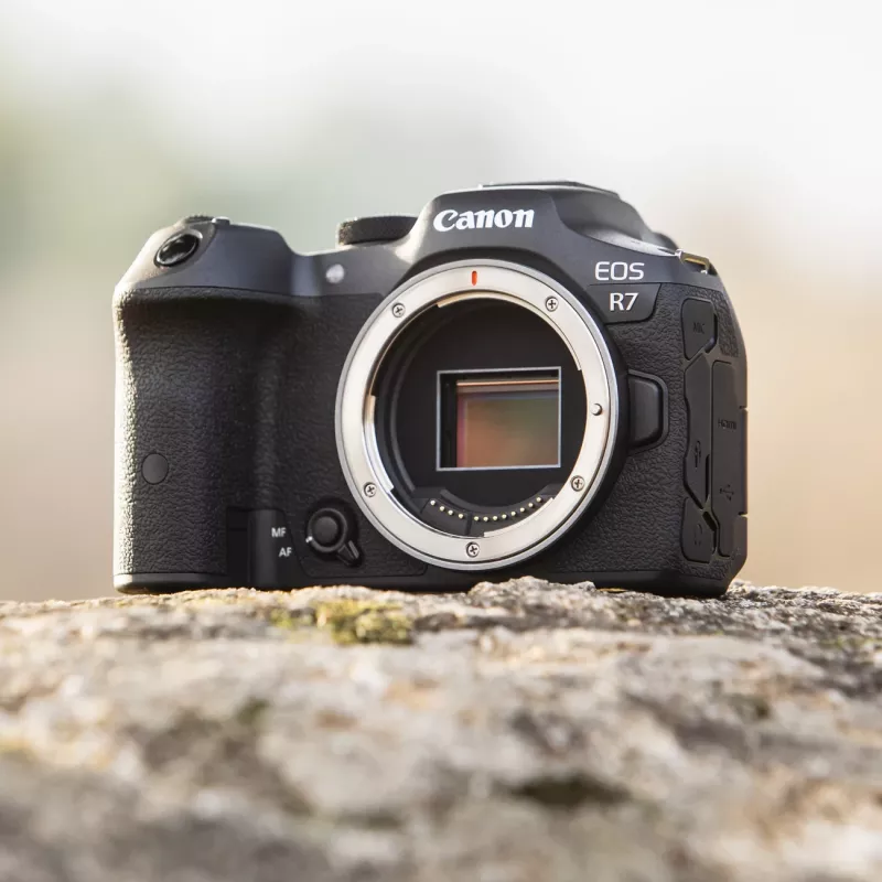 Cámara sin espejo Canon EOS R7 32,5 MP CMOS 6960 x 4640 píxeles negra
