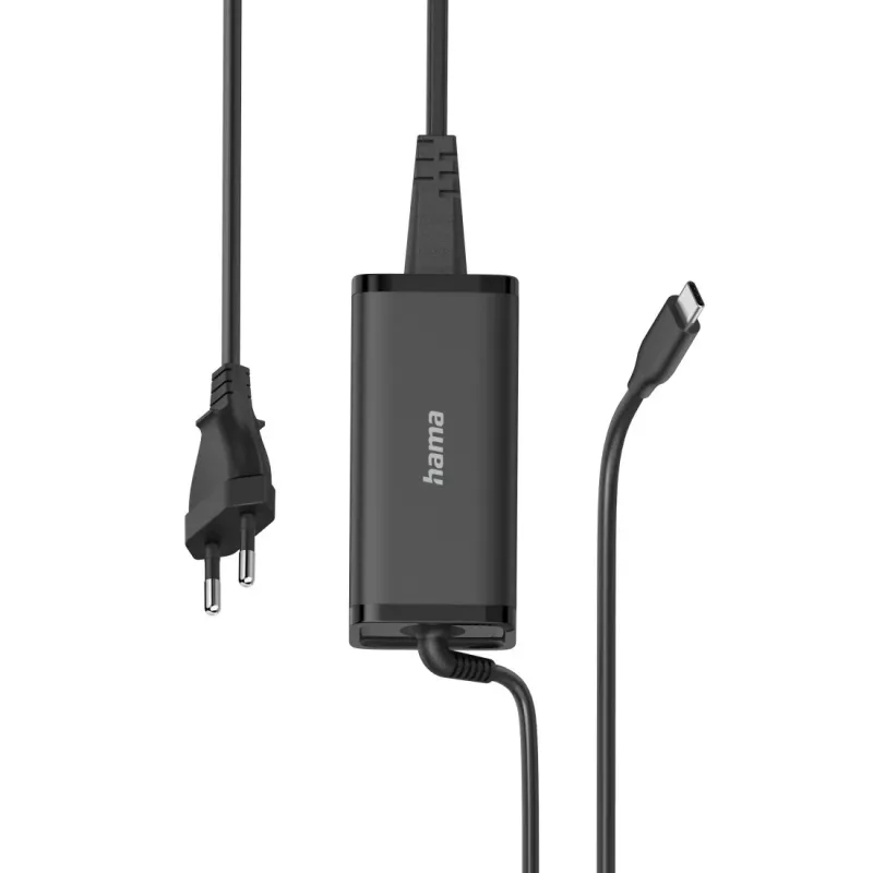 Hama 00200024 Fuente de alimentación Interior/exterior 100 W Negro