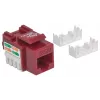 Conector Keystone Intellinet, Cat6, UTP, LSA, Rojo
