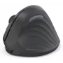 Ratón Hama EWM-600R de oficina para diestros RF Wireless + Bluetooth Óptico 1800 DPI
