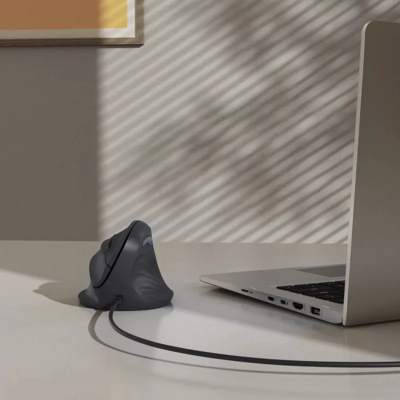 Ratón Hama ECM-500R de oficina para diestros USB Type-A Óptico 1800 DPI