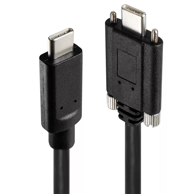 Hub USB Lindy 4 puertos USB 3.2 Gen 2 Type-C hub metálico