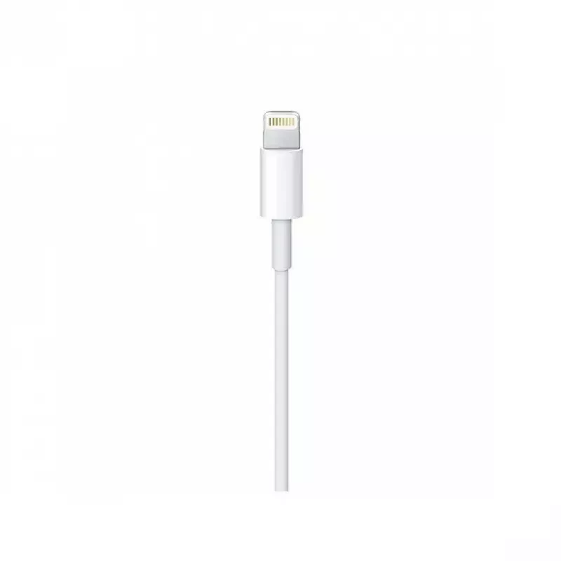 Cable Apple Lightning a USB-C (2 m) MKQ42ZM/A