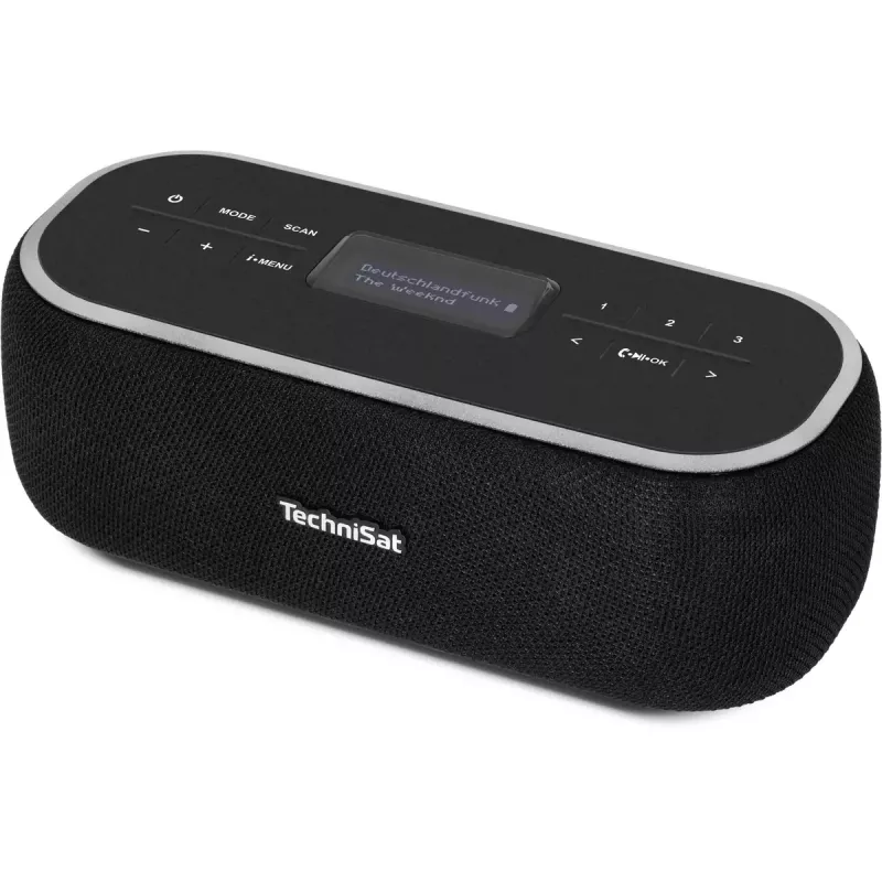 Radio portátil TechniSat 0000/3968