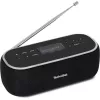 Radio portátil TechniSat 0000/3968
