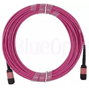 Cable de fibra óptica BlueOptics 106283-7001-BO MTP 4xLC OM4 1 m Rosa