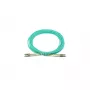 BlueOptics 10G-SR-30M-BO Cable de conexión de fibra óptica dúplex, LC/UPC a LC/UPC, OM3 50/125 µm, 30 m, beige