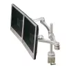 Brazo de monitor LCD doble ROLINE 17.03.1230