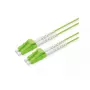 Cable de fibra óptica ROLINE InfiniBand 1 m 2x LC verde OM5 50 µm
