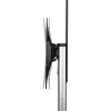 Carro de TV regulable en altura InLine, para TV LED 37 pulgadas–70 pulgadas (94–178 cm), máx. 50 kg