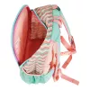 Mochila escolar Herlitz Rookie Sweet Jungle verde melocotón poliéster