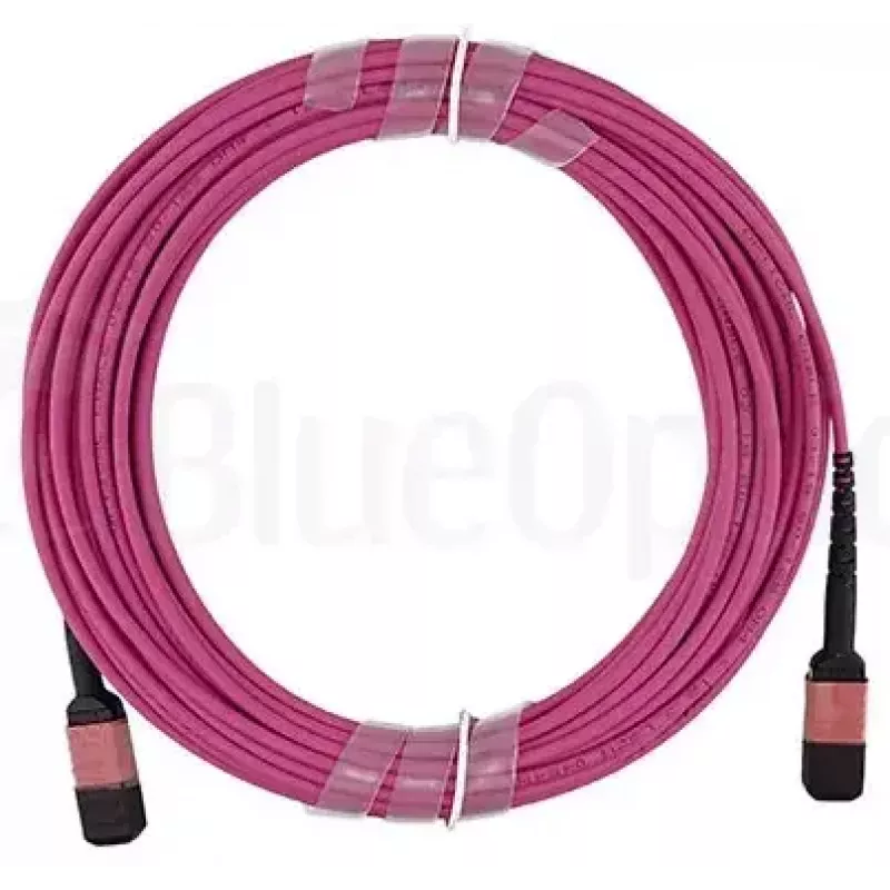 BlueOptics AV28-BO Cable troncal de fibra multimodo, MPO/UPC a MPO/UPC, OM4, 15 m, magenta
