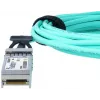 Cable de fibra óptica InfiniBand BlueOptics BO353503J1M-BO 1 m SFP+