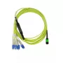 BlueOptics CBL-0206-01-BO Cable breakout de fibra monomodo, MTP/APC a 4x Duplex LC/UPC, 1 m