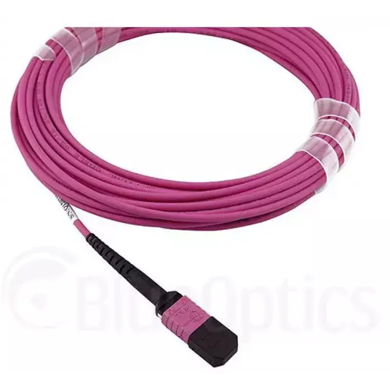 Cable de fibra óptica MPO BlueOptics CBL-MPO12-OM4-1M 1 m OM4