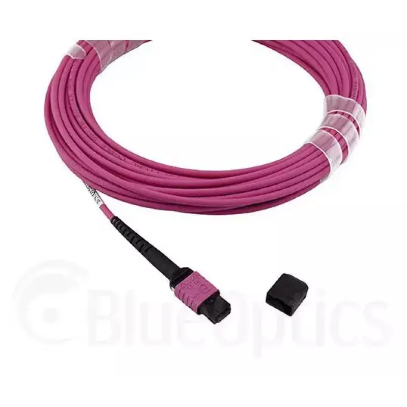Cable de fibra óptica MPO BlueOptics CBL-MPO12-OM4-1M 1 m OM4