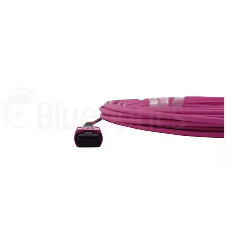 Cable de fibra óptica MPO BlueOptics CBL-MPO12-OM4-1M 1 m OM4