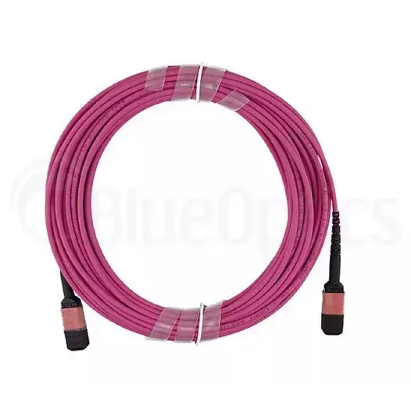 Cable de fibra óptica MPO BlueOptics CBL-MPO12-OM4-1M 1 m OM4