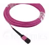 Cable de fibra óptica MPO BlueOptics CBL-MPO12-OM4-20M-BO 20 m OM4