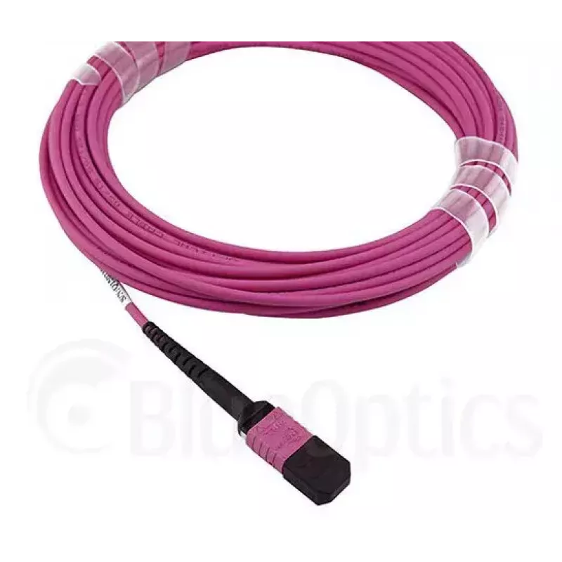 Cable de fibra óptica MPO BlueOptics CBL-MPO12-OM4-20M-BO 20 m OM4