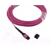 Cable de fibra óptica MPO BlueOptics CBL-MPO12-OM4-20M-BO 20 m OM4
