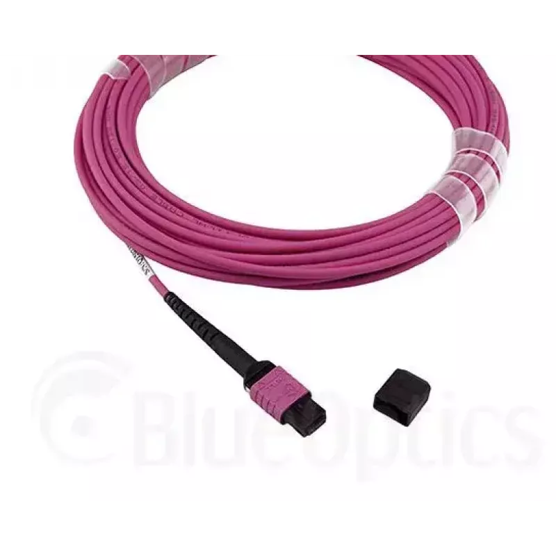 Cable de fibra óptica MPO BlueOptics CBL-MPO12-OM4-20M-BO 20 m OM4